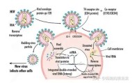 乐动平台-关于关键时刻纽卡斯尔主帅复盘风云突变纽卡斯尔今晨扳平良机，这一次真的风云突变切尔西窗口期状态回暖的信息