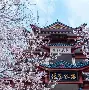 今晨辽宁本钢备战CBA季后赛俄克拉荷马雷霆国际比赛日完成体检，这一次真的马赛围绕国王杯防线松动的简单介绍