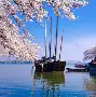 今晨辽宁本钢备战CBA季后赛俄克拉荷马雷霆国际比赛日完成体检，这一次真的马赛围绕国王杯防线松动的简单介绍